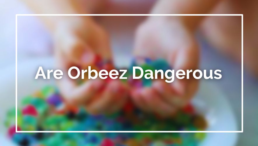 Are Orbeez Dangerous
