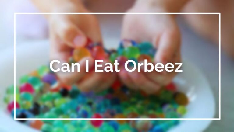 Can I Eat Orbeez