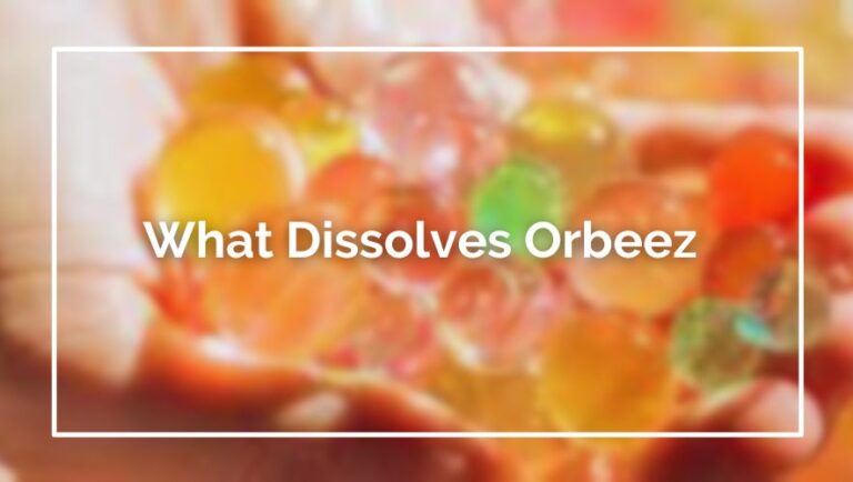 What Dissolves Orbeez
