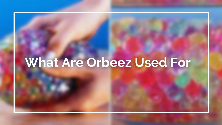 What Are Orbeez Used For