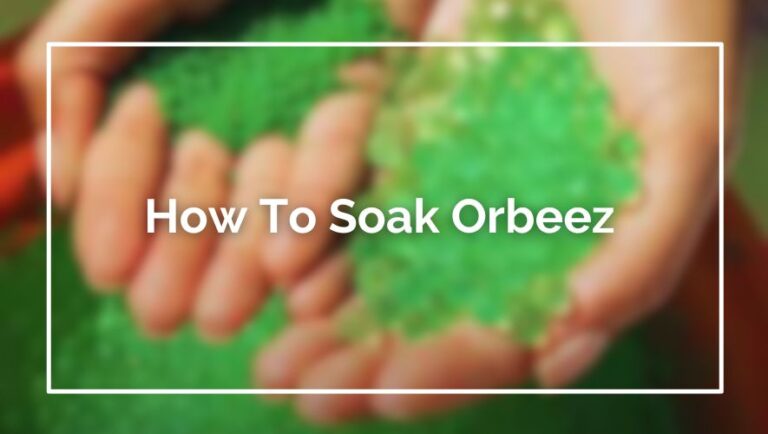 How To Soak Orbeez