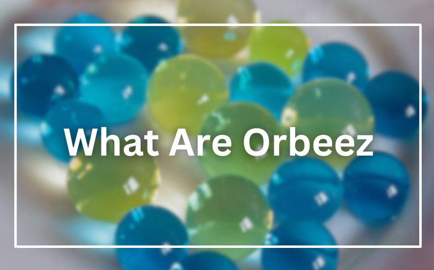 What Are Orbeez