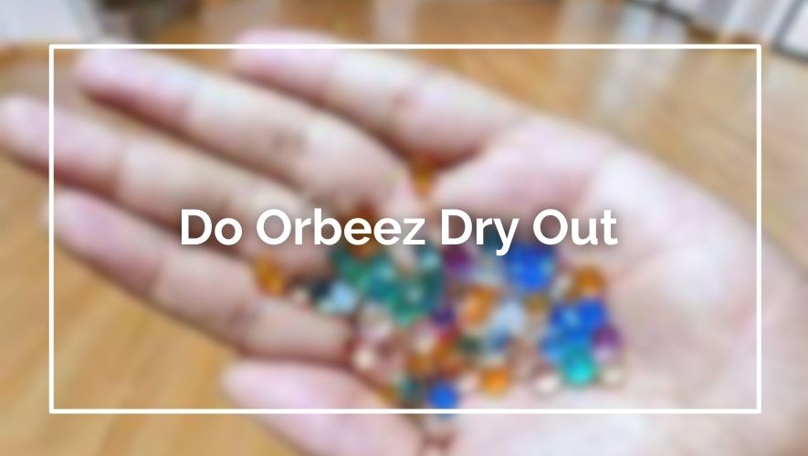 Do Orbeez Dry Out