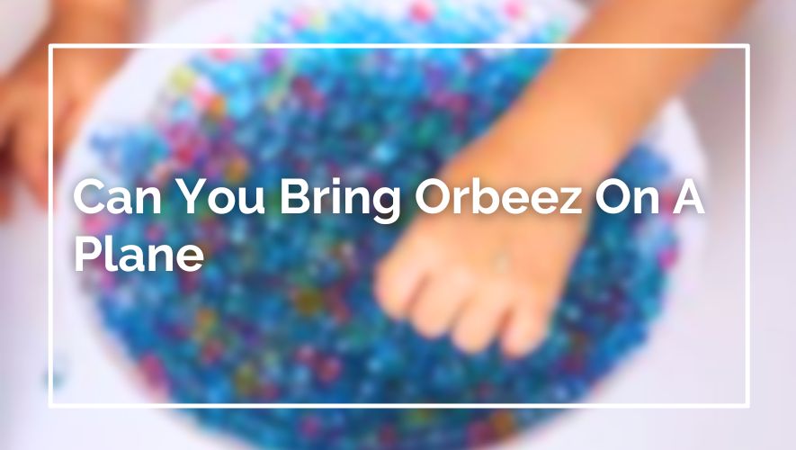 Can You Bring Orbeez On A Plane