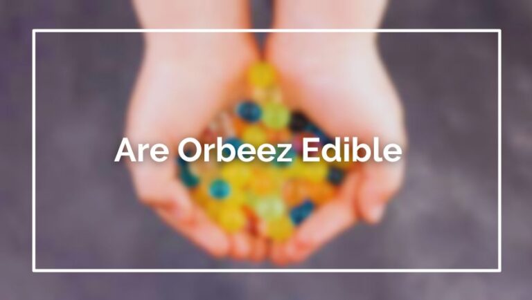 Are Orbeez Edible