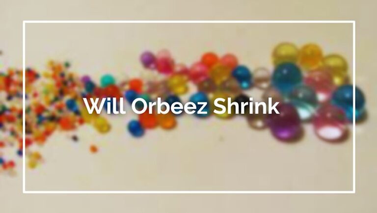Will Orbeez Shrink